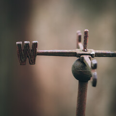rusty compass rose