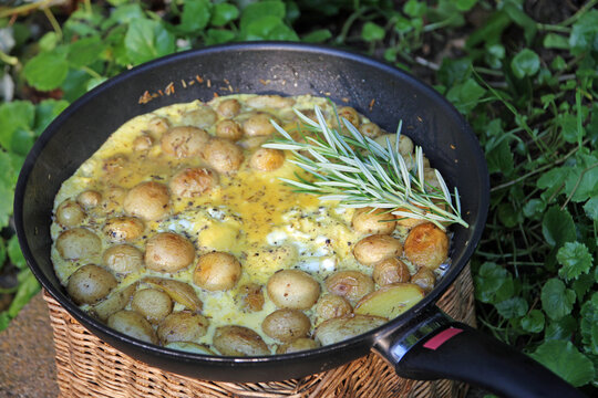 Egg omelet with small rosemary organic potatoes