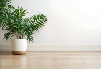 Green tropical plant on blank white wall background, aesthetic banner with copy space text, wall mockup 
