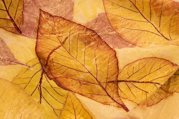 Leaves eco print fabric convey the colors from nature to the beauty on fabric.