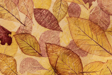 Leaves eco print fabric convey the colors from nature to the beauty on fabric.