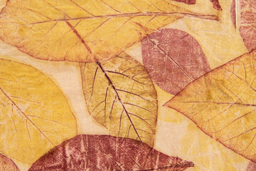 Leaves eco print fabric convey the colors from nature to the beauty on fabric.