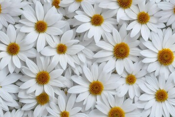 flower white daisies seamless texture - AI Generative