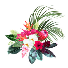 Exotic tropical flowers, orchid, strelitzia, pink medinilla, protea, palm, monstera, calathea leaves vector design bouquet