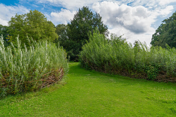 Green grass and trees in National Botanic Garden of Belgium in Meise (Pachthof in de Nationale Plantentuin van België in Meise), Belgium