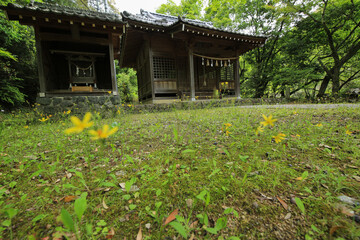 愛媛県松野町　大本神社の風景