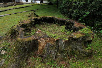 愛媛県大洲市　如法寺の風景