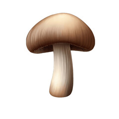 Mushroom's Earthy Beauty, Generative AI
