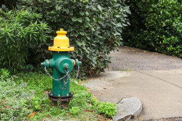Fototapeta na wymiar fire hydrant on urban street corner, ready for action amidst city life. Symbol of safety, preparedness, and community vigilance