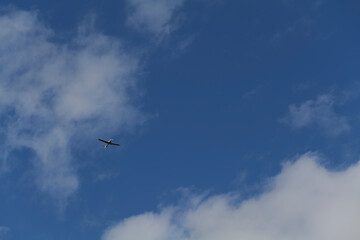 Fototapeta na wymiar Small white cessna single propeller plane flying in a clear blue sky . High quality photo