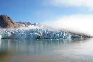 Foto op Plexiglas arctic ocean glaciers and icebergs are melting © murattellioglu