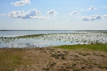 Bouaye - Le Lac de Grand-Lieu	