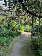 平安神宮神苑　平安の苑　