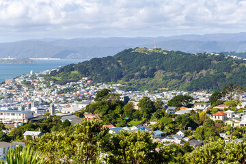 View of Mount Victoria from Brooklyn in Wellington, New Zealand