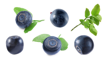 Set with fresh ripe bilberries and green leaves isolated on white