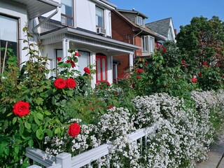 Residential street with beautiful flower garden along the sidewalk - 641894530