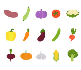 Set of citrus vegetables on a white background: onion, potato, cucumber, tomato, cauliflower, broccoli, garlic, corn, pumpkin, beet