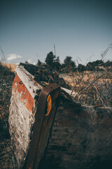 the branch at sunset