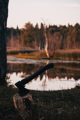 the branch at sunset