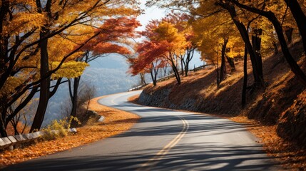 Autumn forest road in autumn leaves, tree on side road