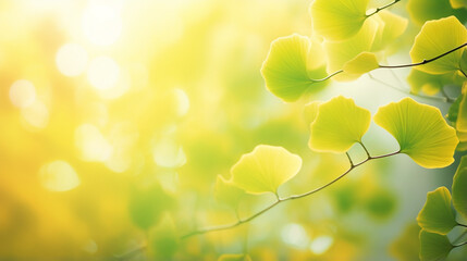 イチョウの葉の美しいボケ写真