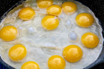 many Sunny-Side Up Fried Eggs Closer UP. High quality photo