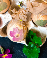 Preparing Easter eggs before painting with a pattern of fresh herbs, flowers