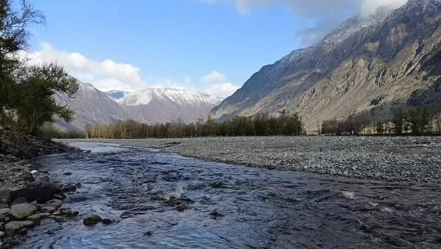 The bed of a shallow river with a wide pebble bank at the foot of a snow-covered mountain range with a birch forest on a clear spring morning. Chulyshman river, Altai, Sibir, Russia.