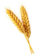Double Wheat Ear Isolated on Transparent Background
