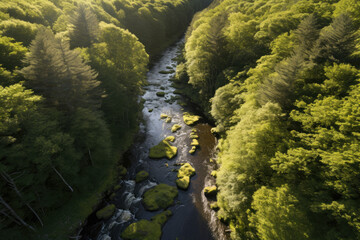 Mossy Glen: Serene Aerial Oasis, Enchanting Valley with Meandering River, Sunlit Canopy - Tranquil Nature's Scenic Beauty