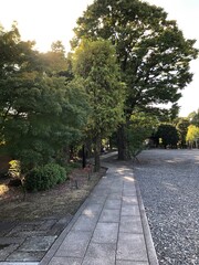 三十三間堂　日本庭園