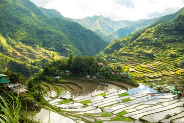 Deurstickers Rijstvelden Batad rice terraces in Ifugao, Banaue, Philippines