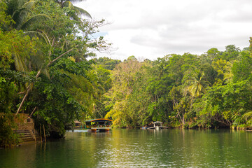 Obraz premium Tropical jungle river - Loboc river. Bohol, Philippines