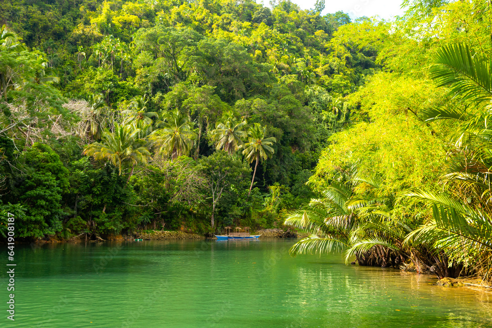 Wall mural view of jungle green river loboc at bohol island of philippines