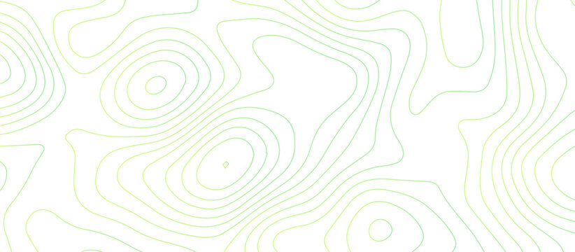 abstract White wave paper curved reliefs background .Panorama view gradient multicolor wave curve lines banner background design. Vector illustration. wave Line topography map contour background.