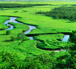 釧路湿原（鶴居村）