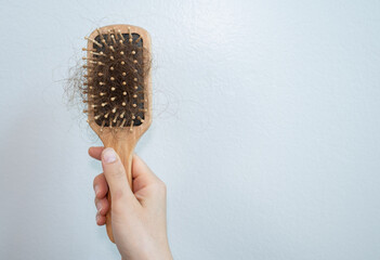 Someone holding a comb with hair loss after brushing hair. Hair loss it cause from family history, hormonal changes, unhealthy of aging.