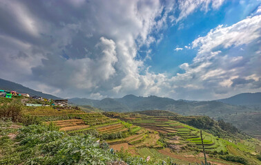 rice terraces Harvest Land.