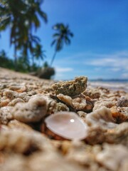 stones on the beach