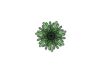  Illustration icon or cartoon and inspired by sea plants with green color that can used fpor template, print, sticker, t-shirt, e.t.c