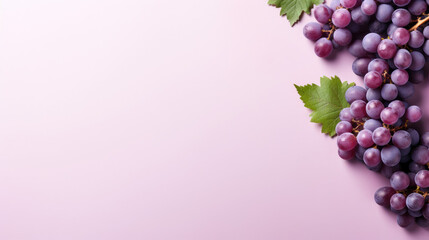 Purple grape banner with blank space, purple gradient background