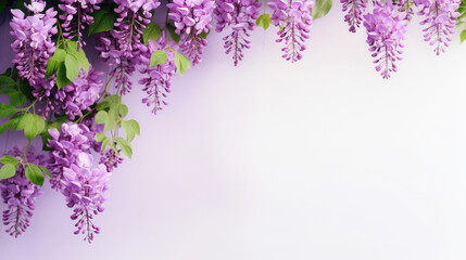 Wisteria floral banner with blank space, purple gradient background - obrazy, fototapety, plakaty