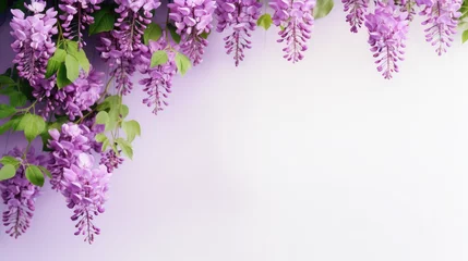 Foto op Plexiglas Wisteria floral banner with blank space, purple gradient background © piknine