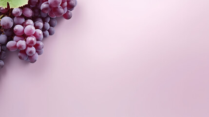 Purple grape banner with blank space, purple gradient background
