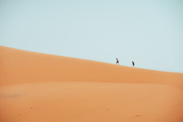 People climbing Erg Chebbi dunes in Sahara Desert, Merzouga, Morocco