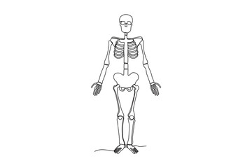 Front view of a human skeleton. Human skeleton one-line drawing