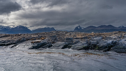 A family of sea lions is located on a rocky island in the Beagle Channel. Cormorants are sitting on cliffs. Waves are beating on the shore. Andes mountains against a cloudy sky. Argentina.