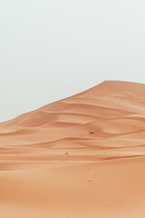 Fototapeta na wymiar Sand texture during sunrise, Sahara Desert Merzouga, Morocco vertical oriented