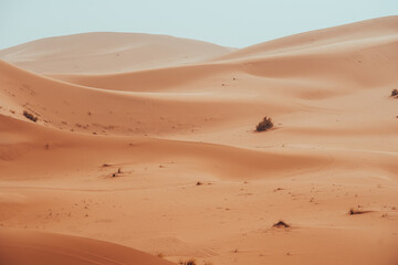Fototapeta na wymiar Sand texture during sunrise, Sahara Desert Merzouga, Morocco landscape oriented