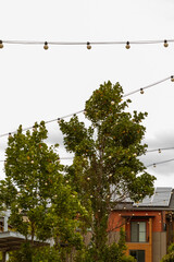 Strings of lights above the walkway.